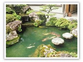 池のある本格的な日本庭園